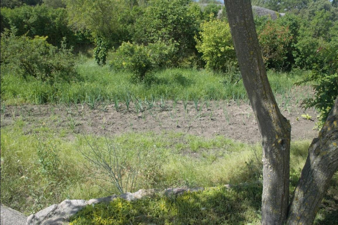 Masoveria La Roca Sagas Extérieur photo